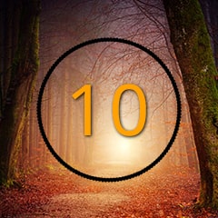 Icon for The 10