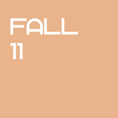 Icon for Fall 11
