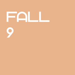 Icon for Fall 9