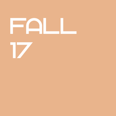 Icon for Fall 17