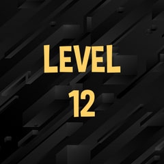 Icon for Complete level 12.