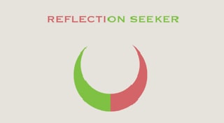 Reflection seeker