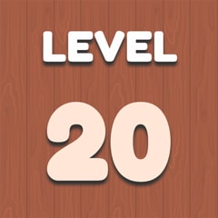 Level 20