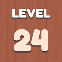 Level 24