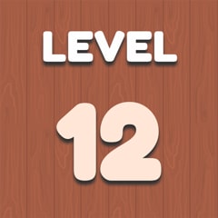 Level 12