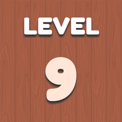 Level 9
