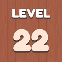 Level 22