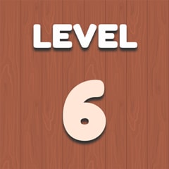 Level 6