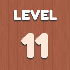 Level 11