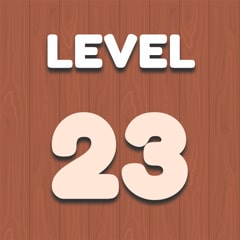 Level 23