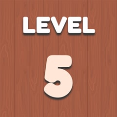 Level 5