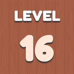 Level 16