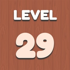 Level 29