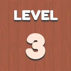Level 3