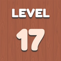 Level 17