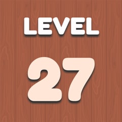 Level 27