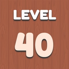 Level 40