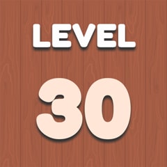 Level 30