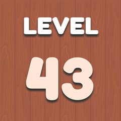 Level 43