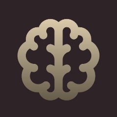 Разгадыватель головоломок