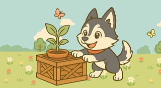 Buddy Garden