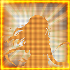 Frame Collector
