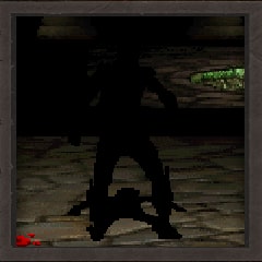 The Ninja Who Wasn't There