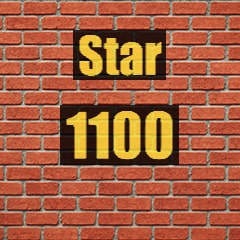 Star 1100