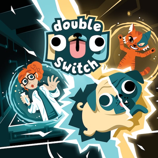 Double Pug Switch for playstation