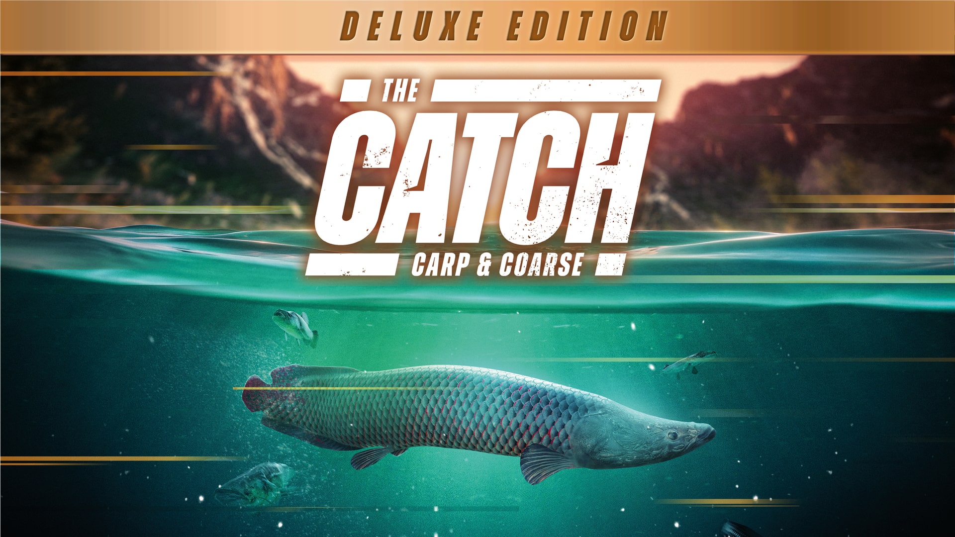 The Catch: Carp & Coarse - Collector's Edition (PS4) : .co