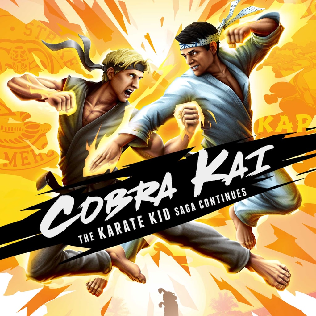 Cobra Kai The Karate Kid Saga Continues