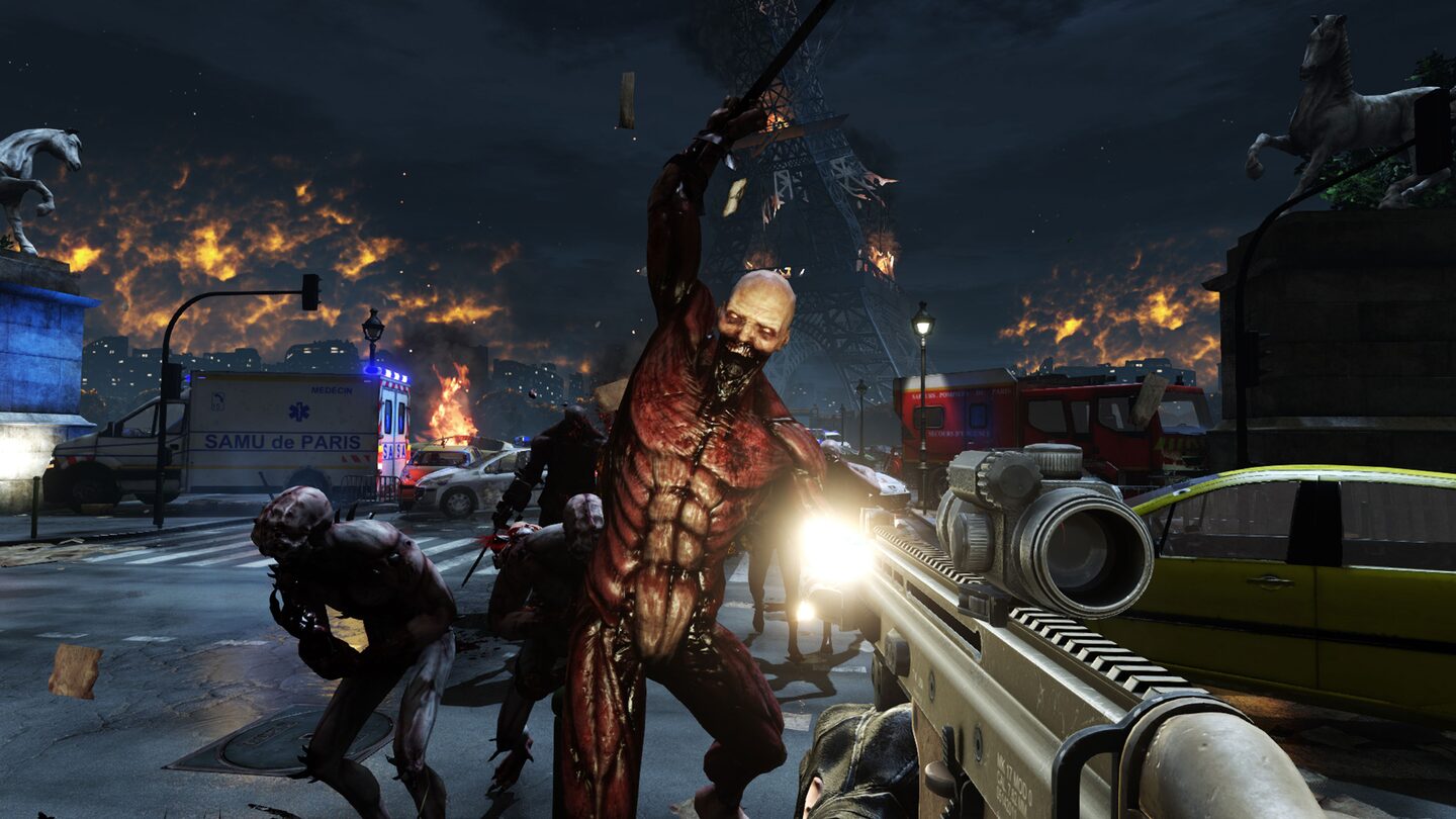 Full Size Image