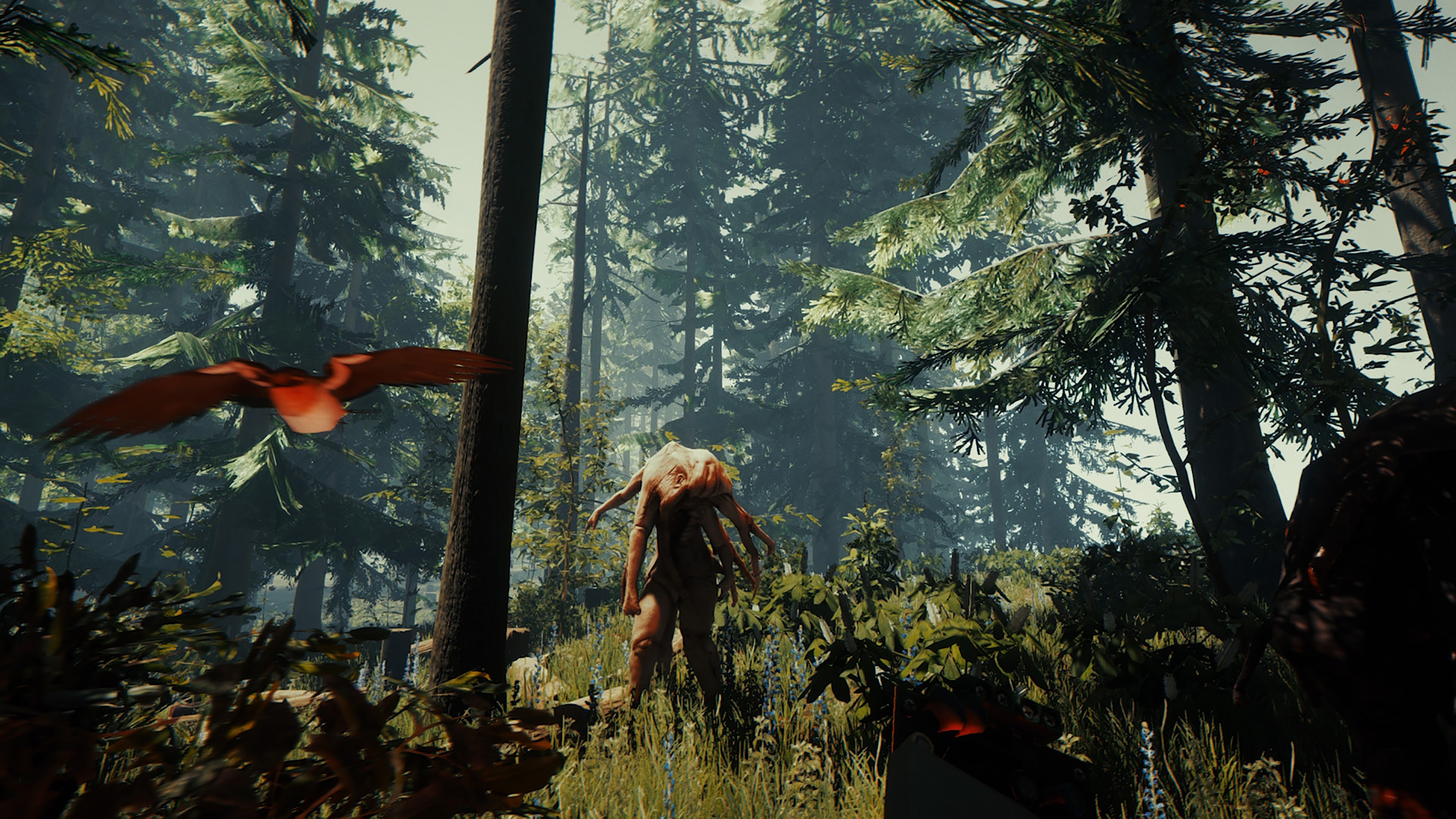 the forest rating ps4