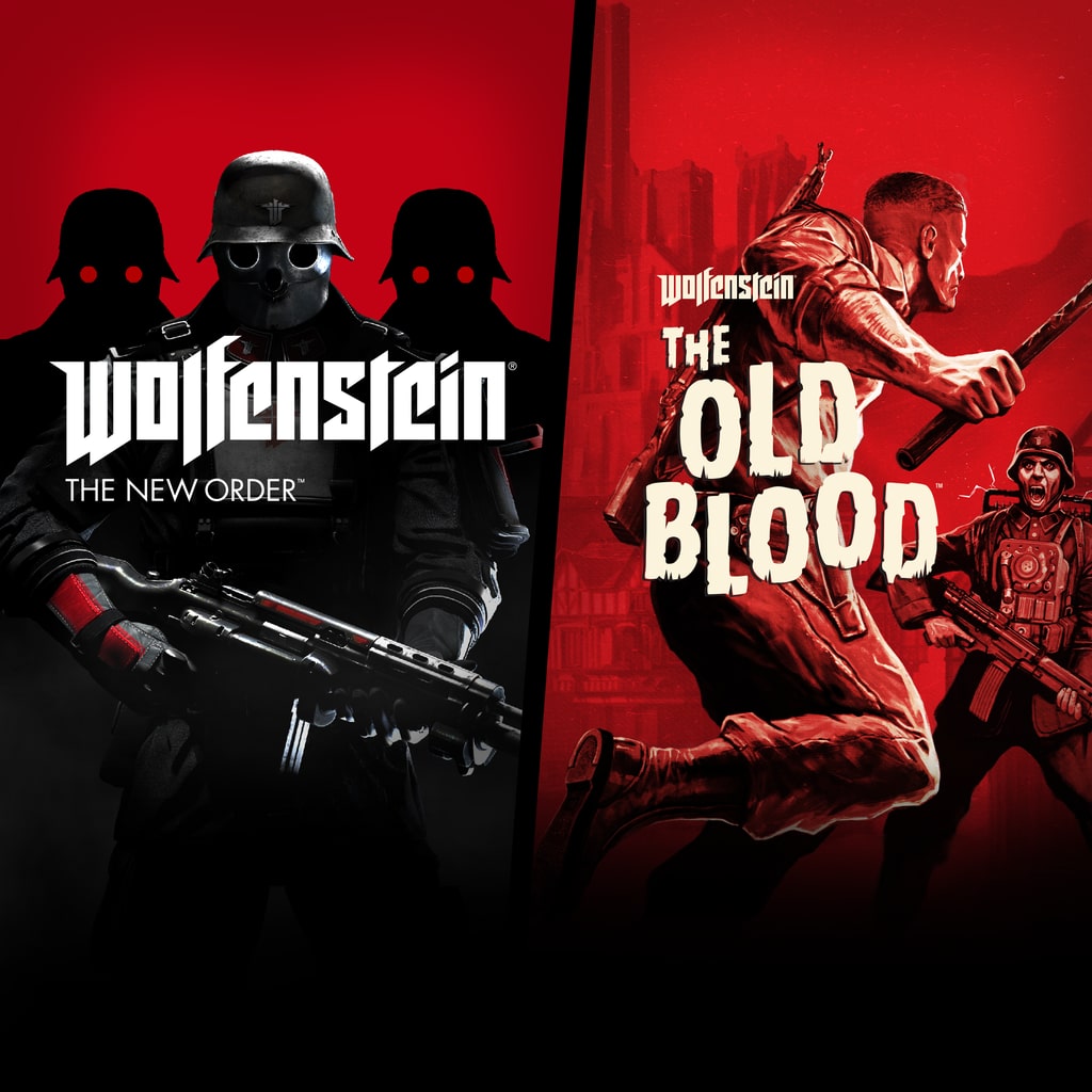 Wolfenstein: The Two Pack STEAM digital for Windows