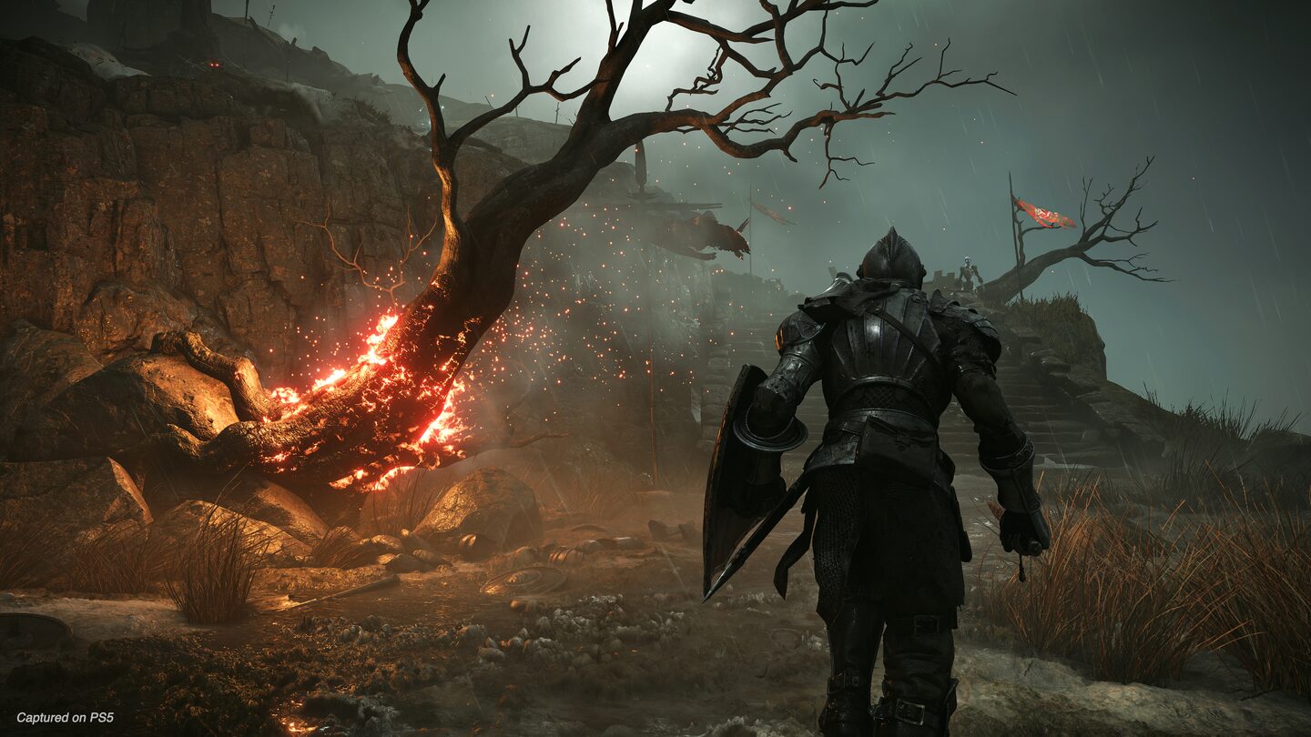 Full Size Image