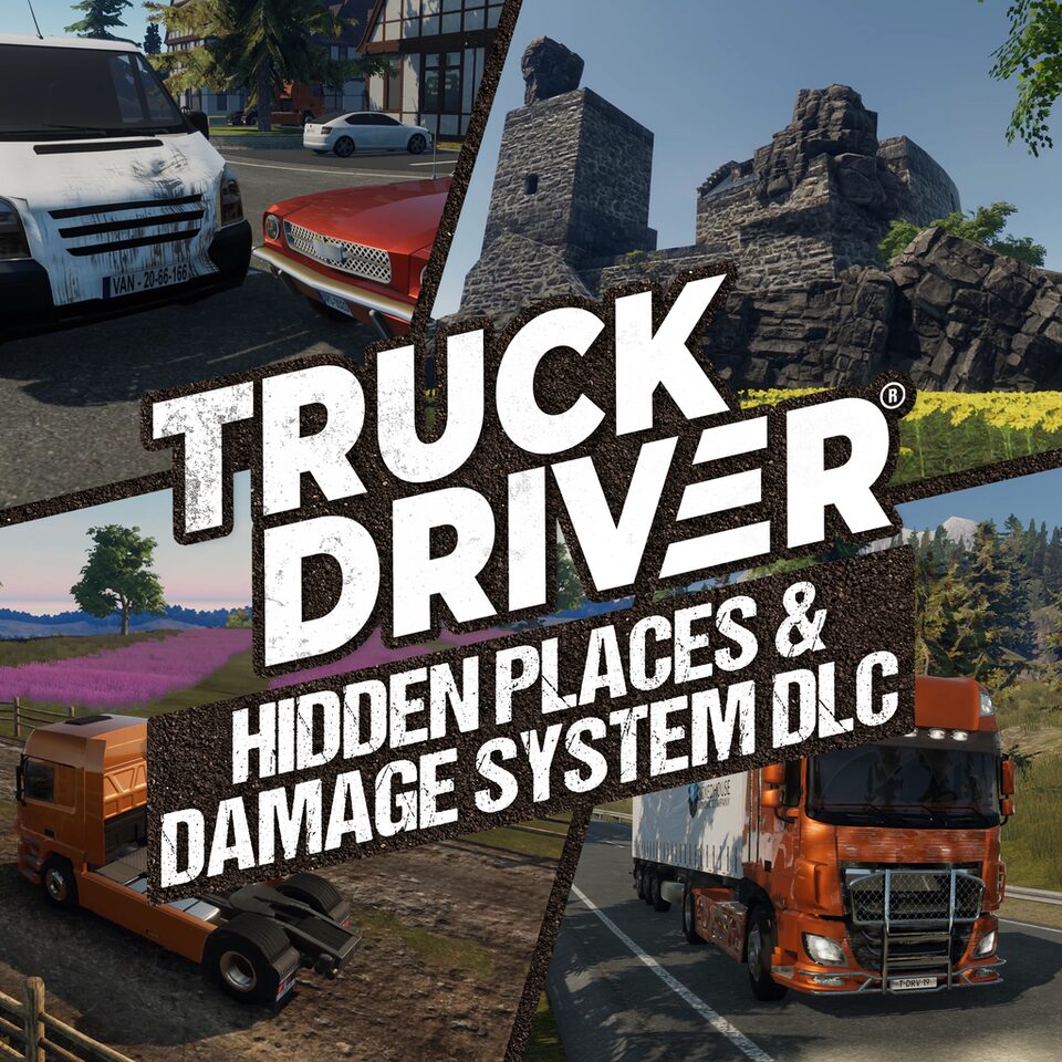 Truck Driver ps4. Damage system