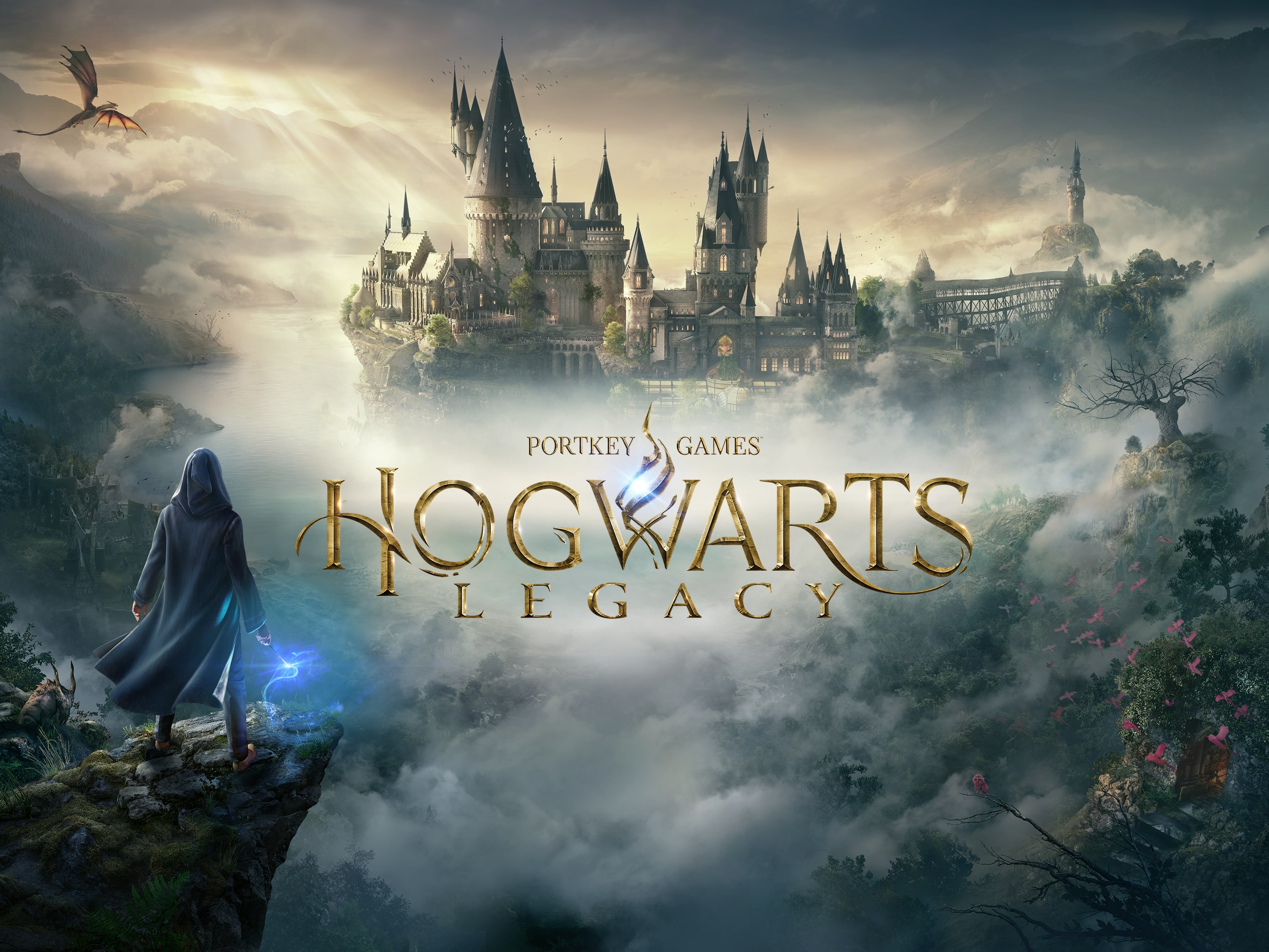 Versión de Hogwarts Legacy para PS4