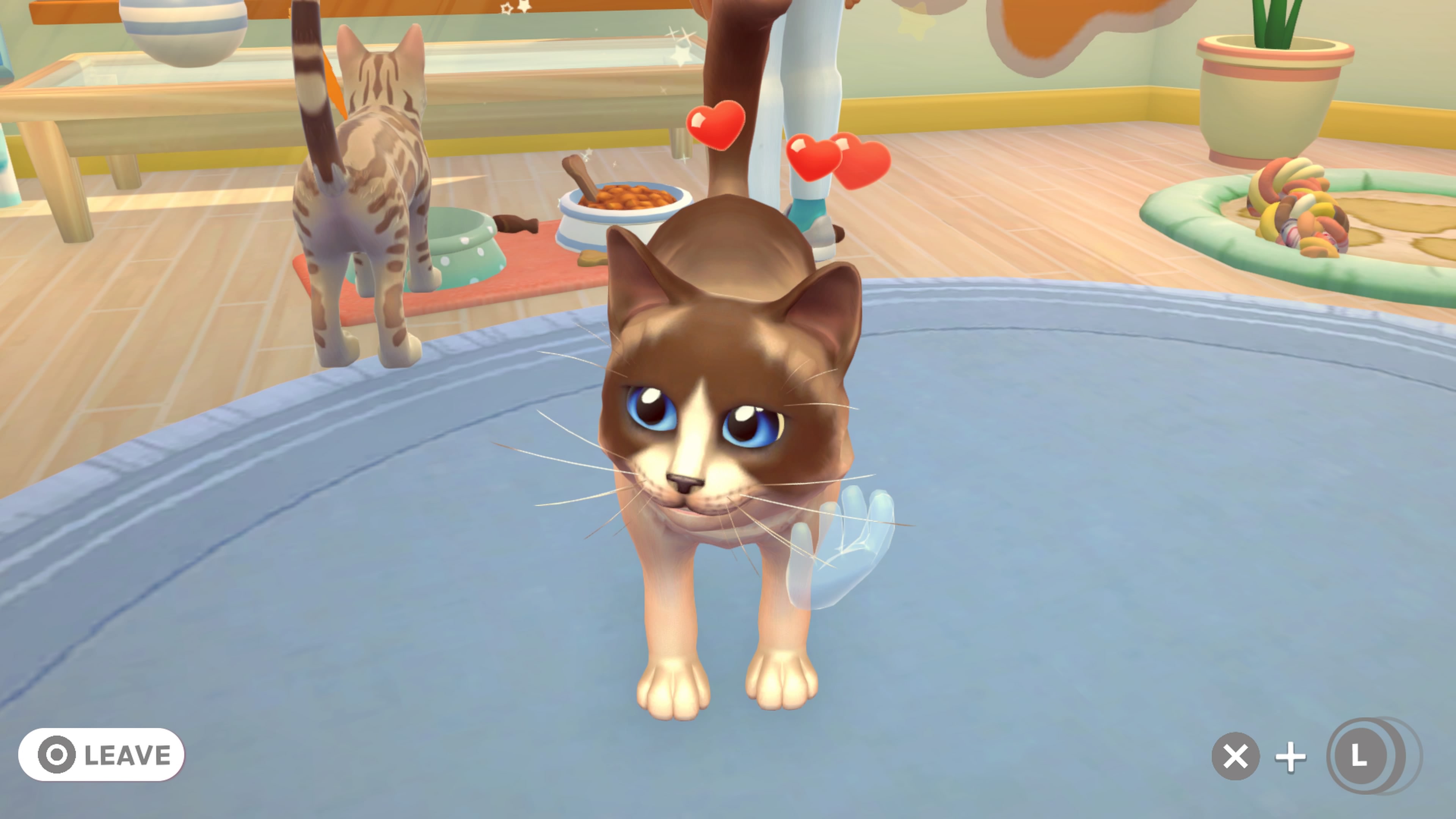 My Universe - PET CLINIC CATS & DOGS