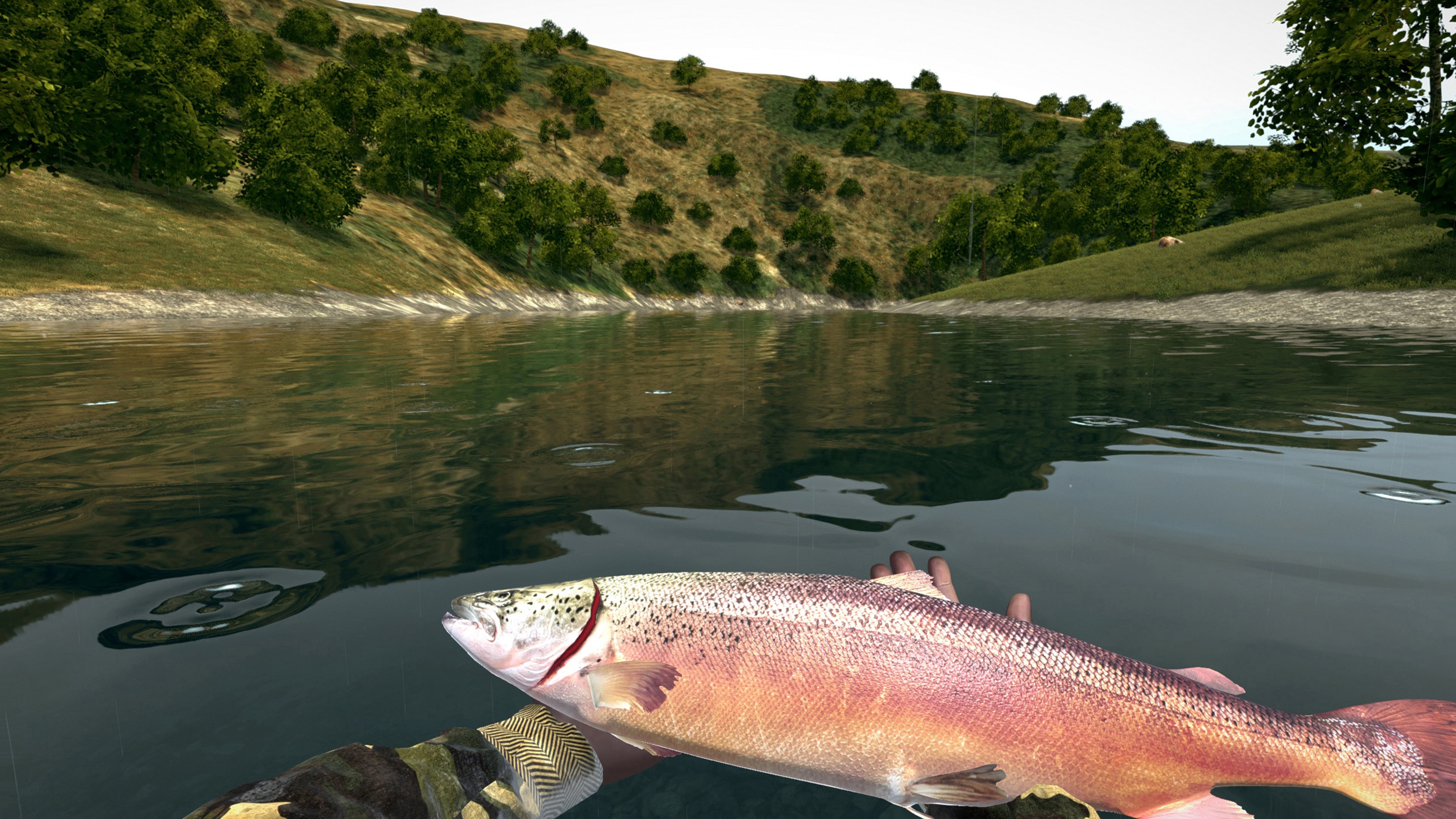 Ultimate Fishing Simulator on PS4 — price history, screenshots