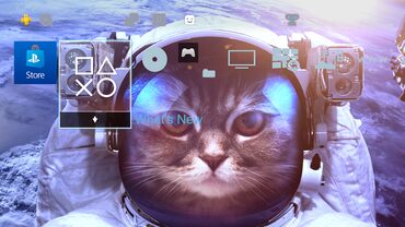 Memory Lane Space Bundle