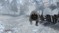 screenshot5