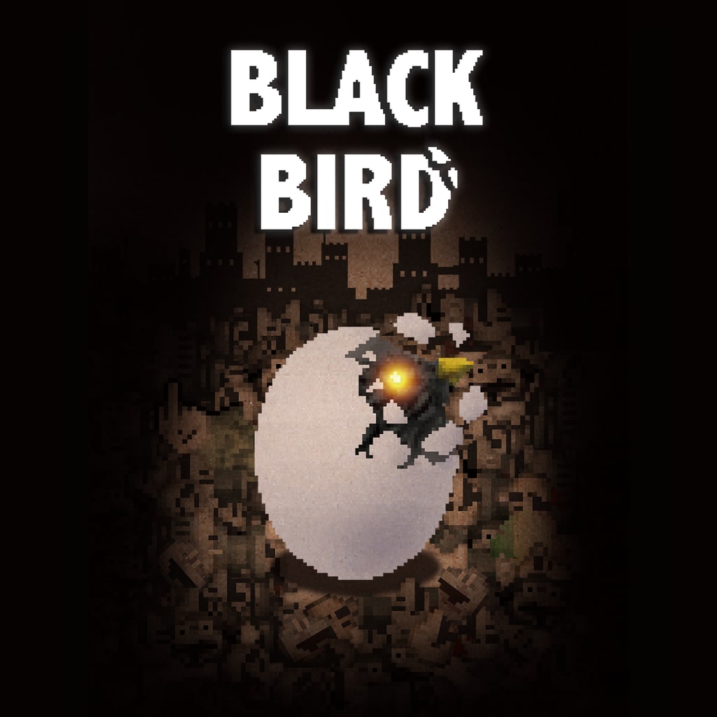 Black Bird Trophies