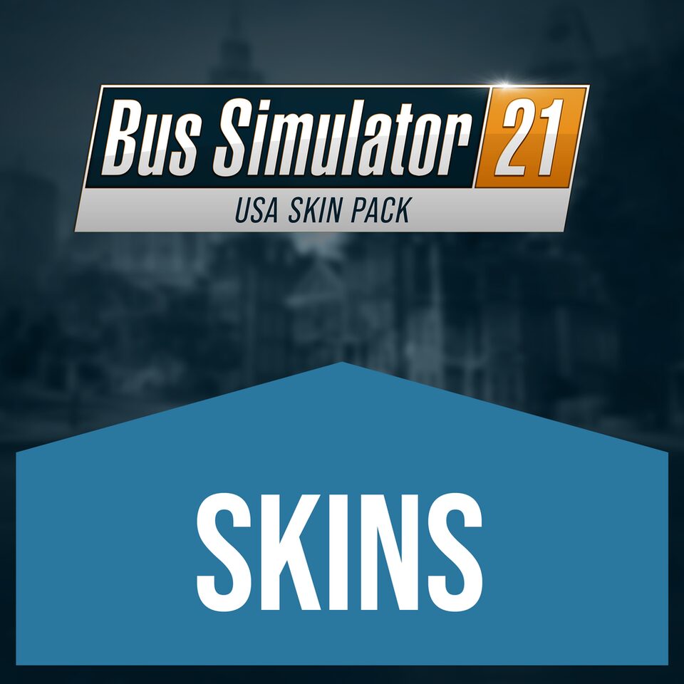 Usa skin