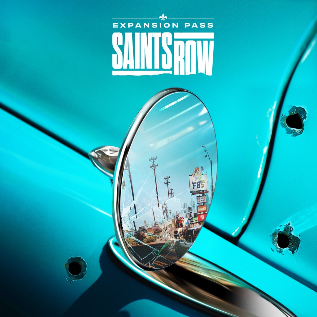 Saints Row （セインツロウ）通常版 PS4&PS5