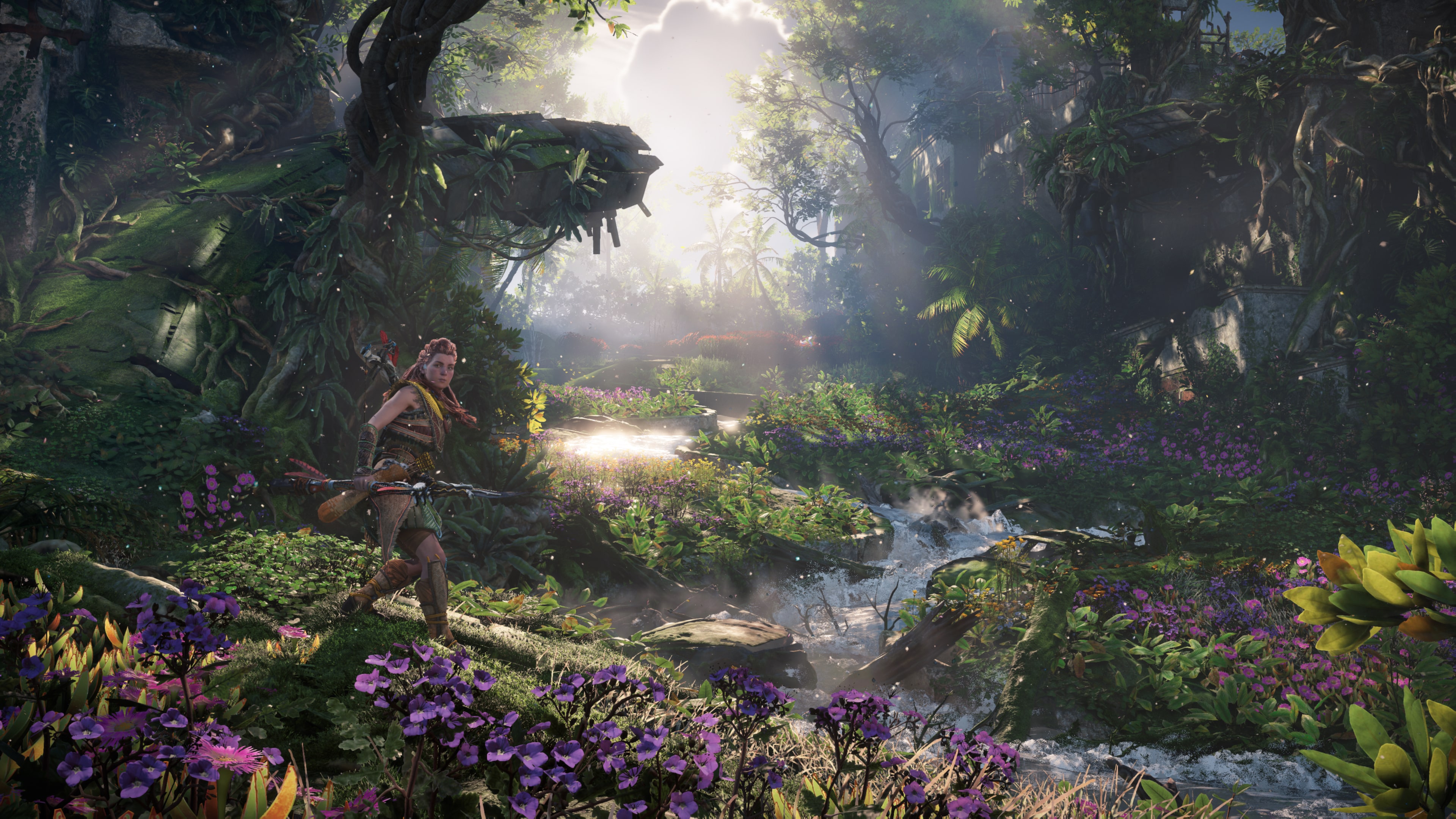 Horizon Forbidden West on PS4 PS5 — price history, screenshots, discounts •  USA
