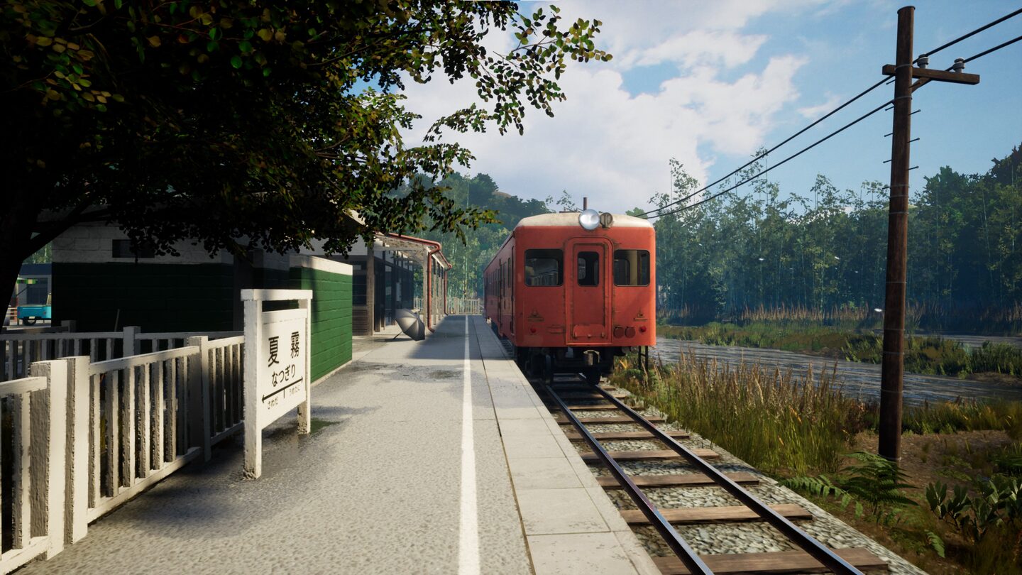 Full Size Image