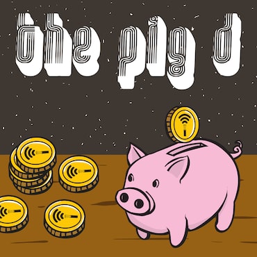 The Pig D cover image