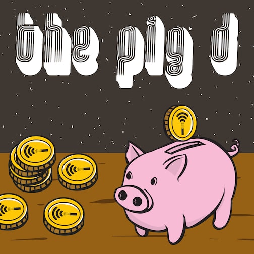 The Pig D cover image