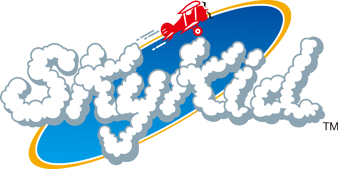 スカイキッド アーケードアーカイブス スカイキッド