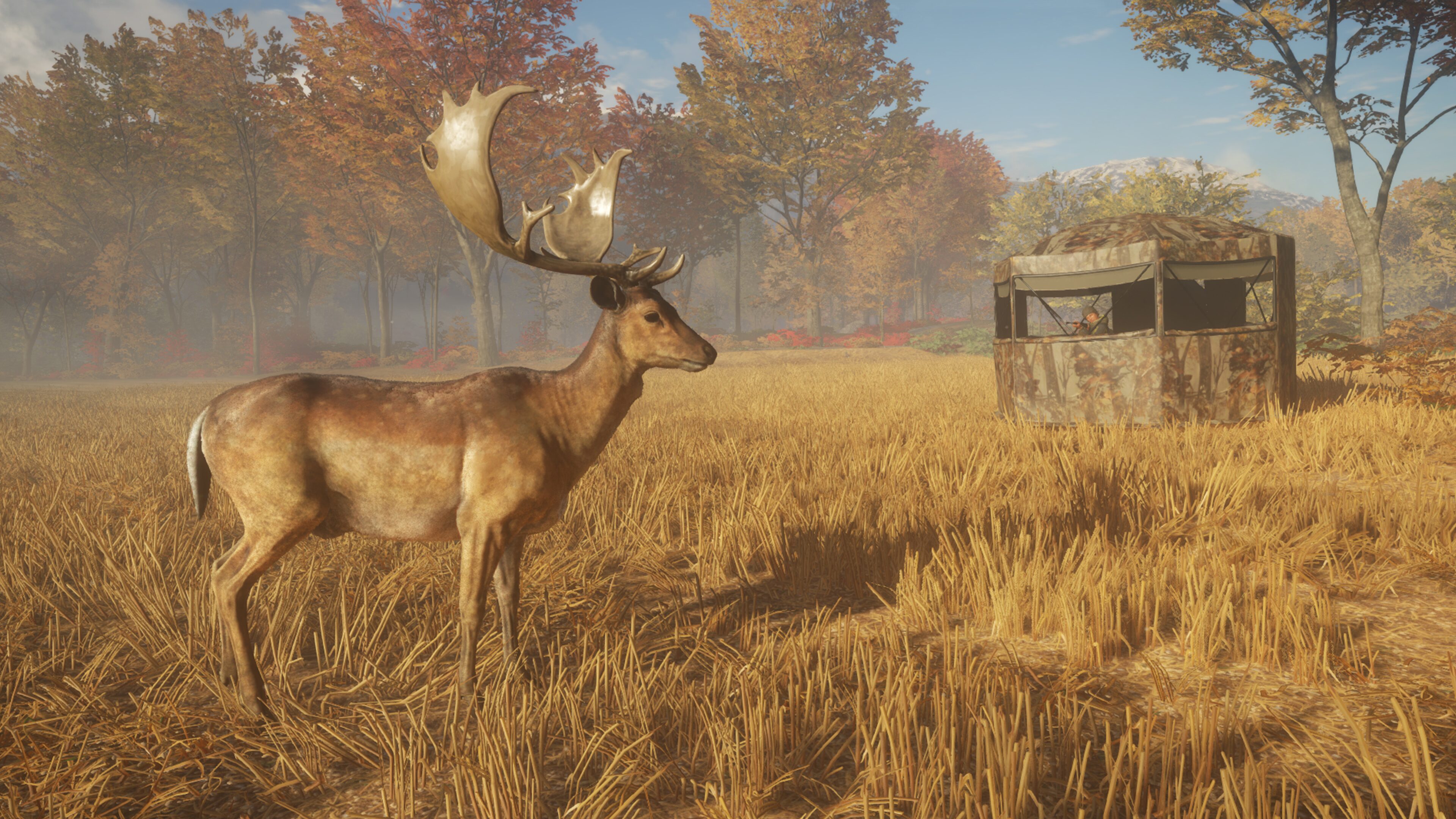 theHunter: Call of the Wild™ - Greenhorn Bundle